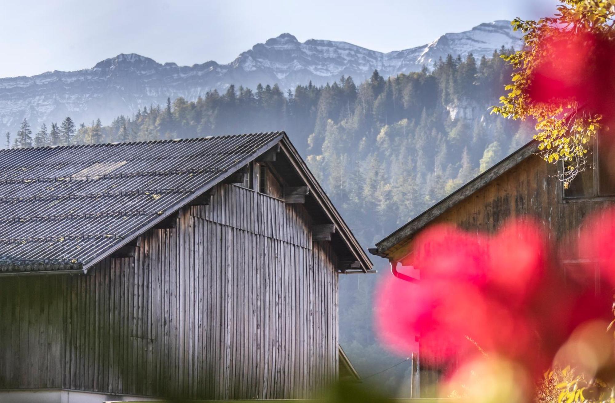 Ferienwohnung Greber Gertraud Bezau Exterior foto